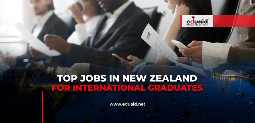 Top Jobs in New Zealand for International Graduates