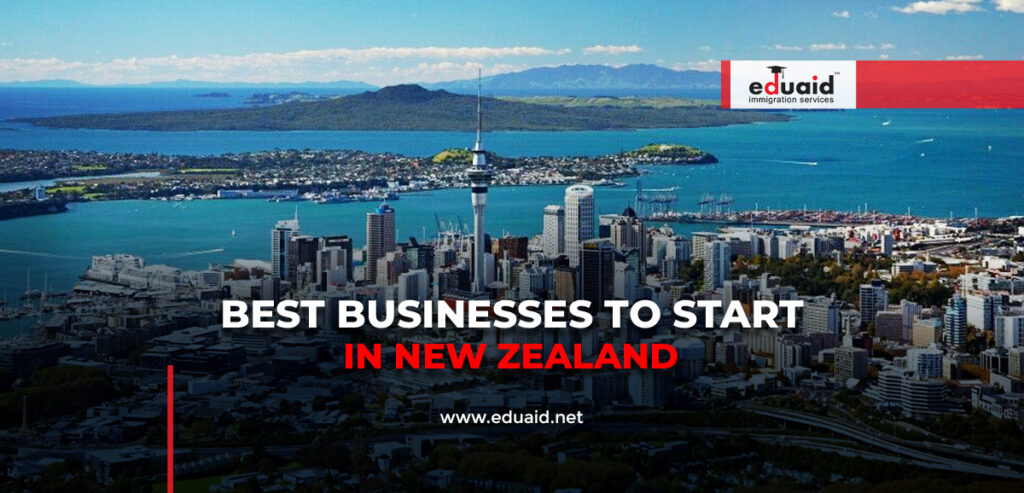 Best Businesses to Start in New Zealand