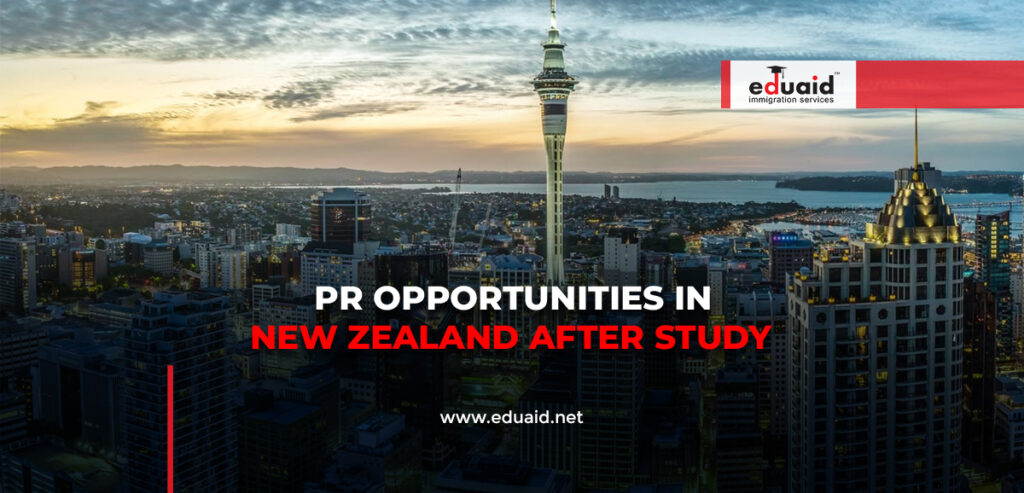 PR Opportunities in New Zealand After Study
