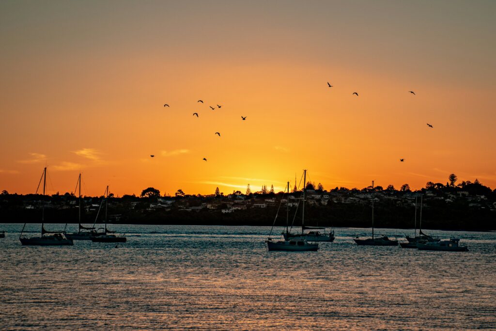 New Zealand Student Visa Requirements